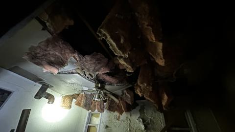 Decay - IMG_3867.JPG