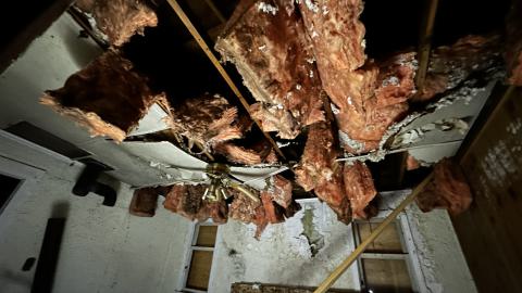 Decay - IMG_3868.JPG