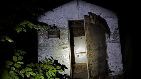 Decay - IMG_3869.JPG