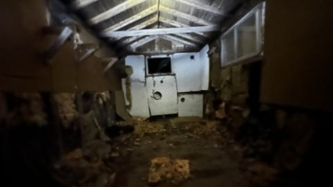 Decay - IMG_3870.JPG