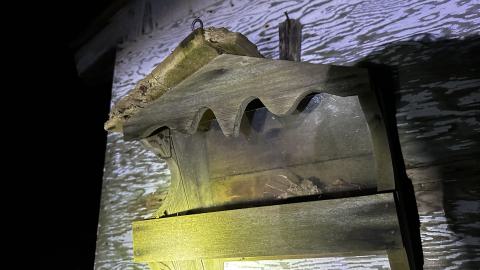 Decay - IMG_3871.JPG