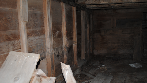 Photo from September 24th 2023