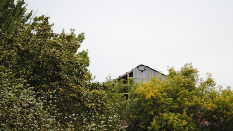 Photo from September 24th 2023