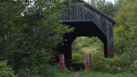 Photo from Initial commit