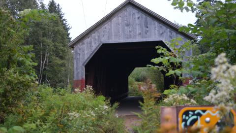 Photo from Initial commit