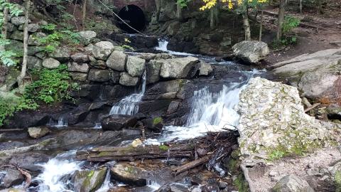 September 2023 - 20230920_175937.jpg