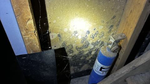 Jamaican Greg - IMG_4031.JPG