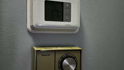 Jamaican Greg - IMG_4033.JPG