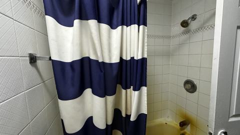 Jamaican Greg - IMG_4047.JPG