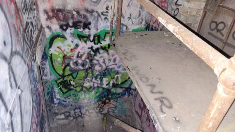 Photo from First Trip to the Ol' Linseed