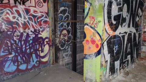 Photo from First Trip to the Ol' Linseed