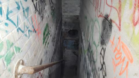 Photo from First Trip to the Ol' Linseed