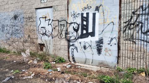 boards cant stop me aha - 20230507_195558.jpg