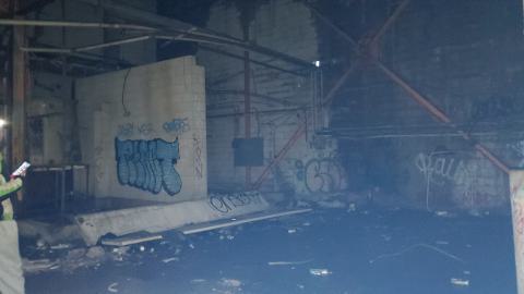 boards cant stop me aha - 20230507_202725.jpg