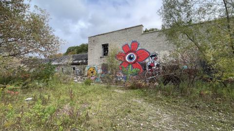 Abandoned paper mill - IMG_2751.jpeg