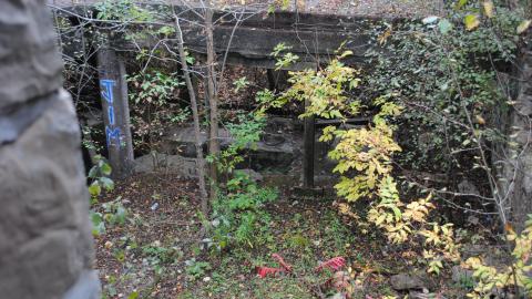 September 7th 2023 - DSC_0401.JPG