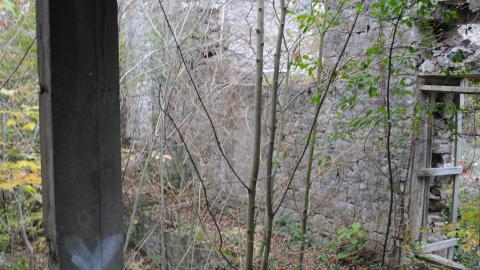 September 7th 2023 - DSC_0397.JPG