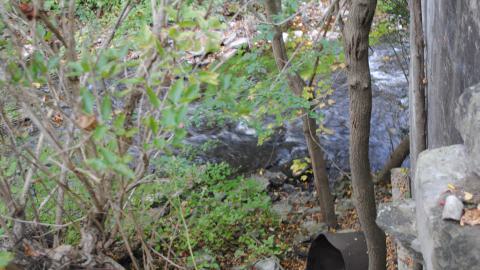 September 7th 2023 - DSC_0406.JPG