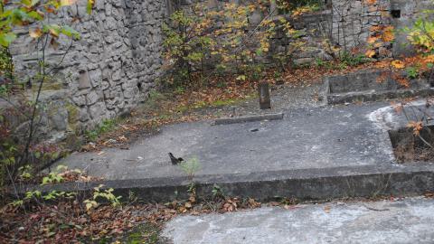 September 7th 2023 - DSC_0407.JPG