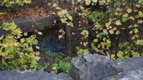 September 7th 2023 - DSC_0420.JPG