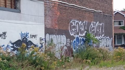 Monza Car Sales photo 4