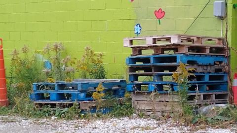 Monza Car Sales photo 2