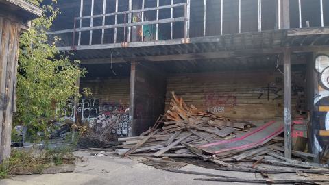 Oct 12, 2023 - IMG_20231012_125121857_HDR.jpg