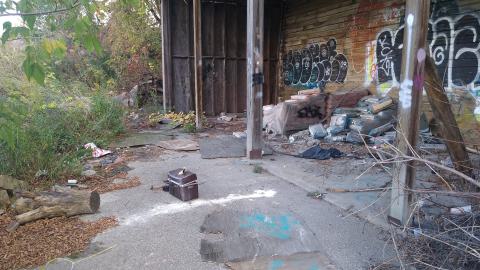 Oct 12, 2023 - IMG_20231012_125136601.jpg