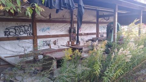 Oct 12, 2023 - IMG_20231012_125213770.jpg