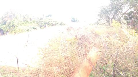 Oct 12, 2023 - IMG_20231012_125247549.jpg