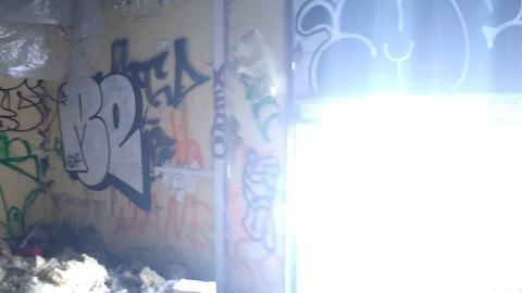 Oct 12, 2023 - IMG_20231012_125506958.jpg