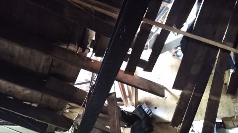 Oct 12, 2023 - IMG_20231012_125722812.jpg