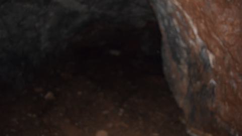 Photo from October 2023