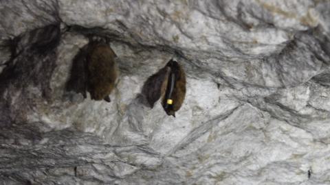 Photo from October 2023