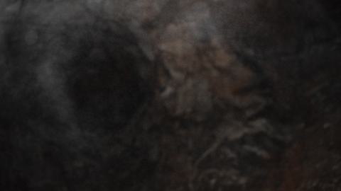 October 2023 - DSC_0035.JPG