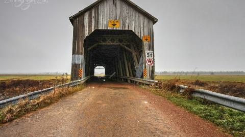 2021 - Collages2.jpg