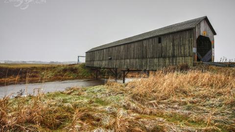 2021 - Collages3.jpg