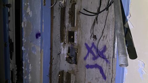 Savlo - IMG_2189.jpg