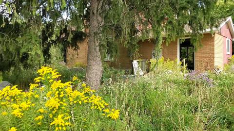 Trash House - Abandoned homes 1  2 - frame at 7m46s.jpg