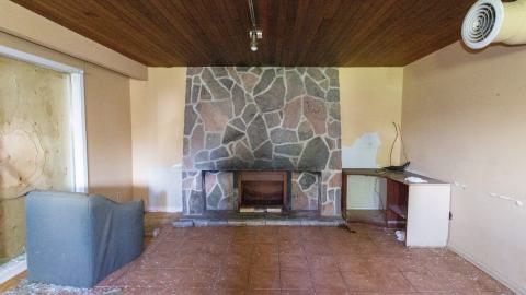 It's Something For Sure - IMG_4543.JPG