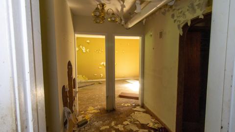 It's Something For Sure - IMG_4544.JPG