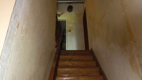 It's Something For Sure - IMG_4546.JPG