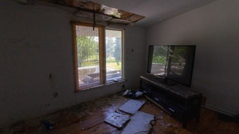 It's Something For Sure - IMG_4548.JPG