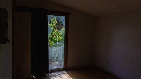 It's Something For Sure - IMG_4550.JPG