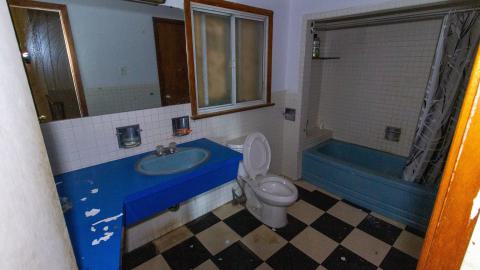 It's Something For Sure - IMG_4551.JPG