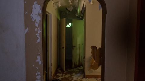 It's Something For Sure - IMG_4552.JPG