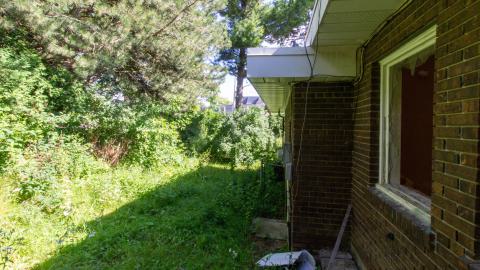 It's Something For Sure - IMG_4553.JPG