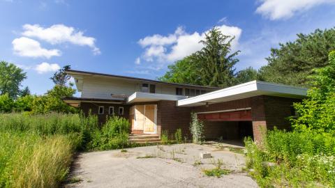 It's Something For Sure - IMG_4555.JPG