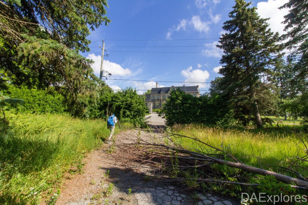 It's Something For Sure - IMG_4556.JPG