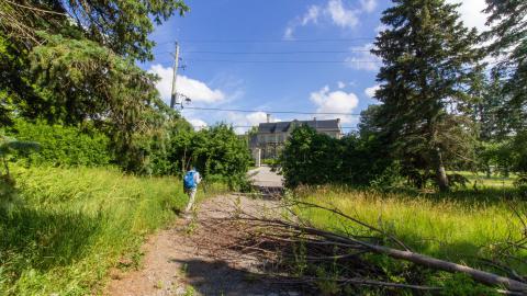 It's Something For Sure - IMG_4556.JPG